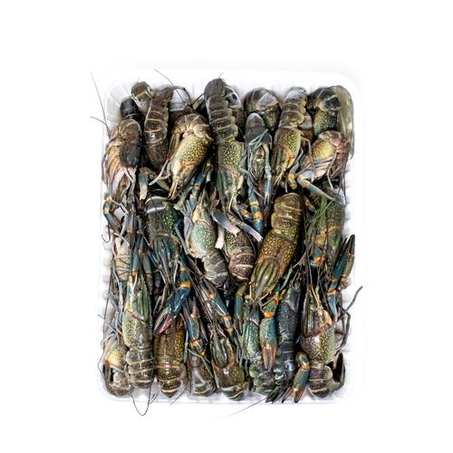 Portland's Finest Seafood Crayfish 1 kg / 2.2 lb Seafood & Fish