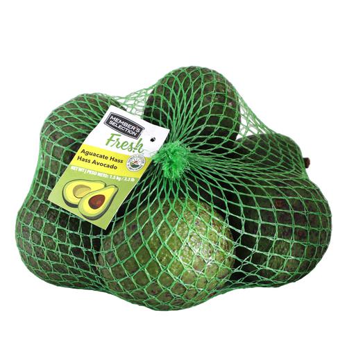 A Colombian worker transfers fresh avocados from a mesh bag into a